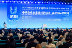 中欧企业家东湖对话活动在武汉举行