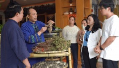 百色壮医非遗传承人岑健乐：让岑氏外敷疗法非遗技艺 “活” 在当下